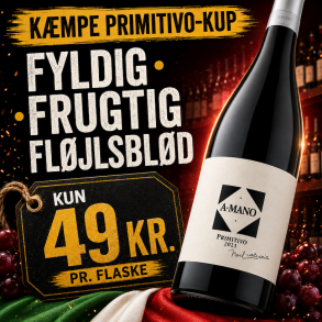 A-Mano Primitivo 2023 13%