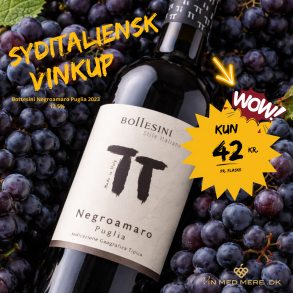 Bottesini Negroamaro Puglia 2023 75 cl. 12,5%