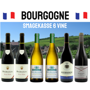 BOURGOGNE SMAGEKASSE - 6 flasker