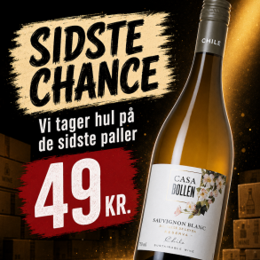 Casa Bollen Sauvignon Blanc Reserva Valle de Layda 2024 12,5%