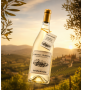 Campo Piano Veronese 2025 75 cl. 13,5%