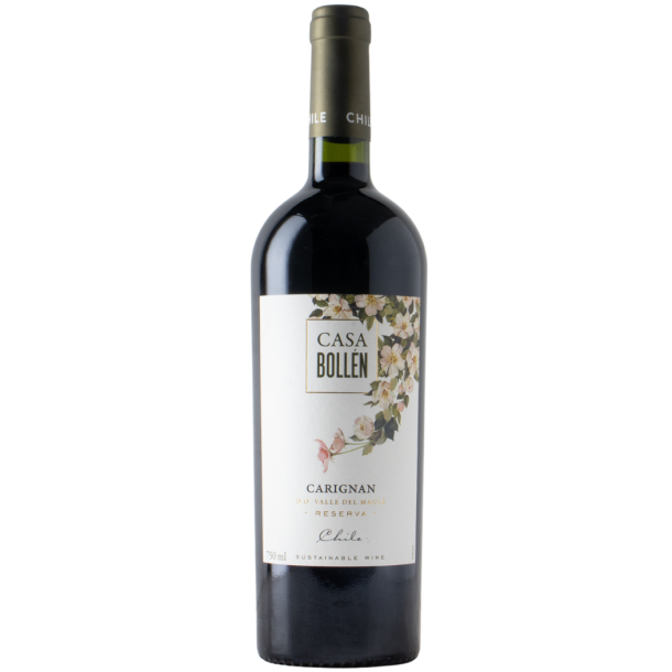 Casa Bollen Reserva Carignan Valle del Maule 2022 14%