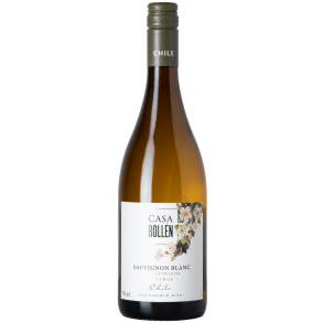 Casa Bollen Sauvignon Blanc Reserva Valle de Layda 2024 12,5%