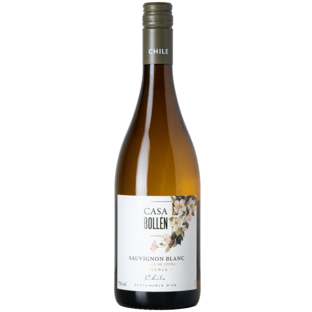Casa Bollen Sauvignon Blanc Reserva Valle de Layda 2024 12,5%