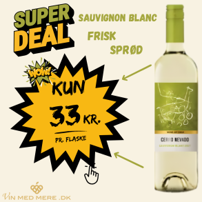 Cerro Nevado Sauvignon Blanc 12,5%