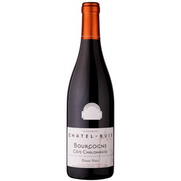 Bourgogne Pinot Noir Chatel Buis  2021 13%