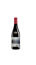 Cotes du Rhone Cite des Anges 2023 15%