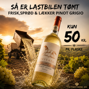 Sellata Puglia Pinot Grigio 2024 75 cl. 12%