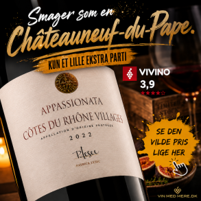 Patrick Lesec Cotes du Rhone Village Appassionata 2022 16%