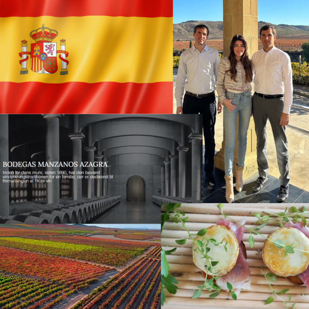 SIGLO TINTO RIOJA 2021 13,5%