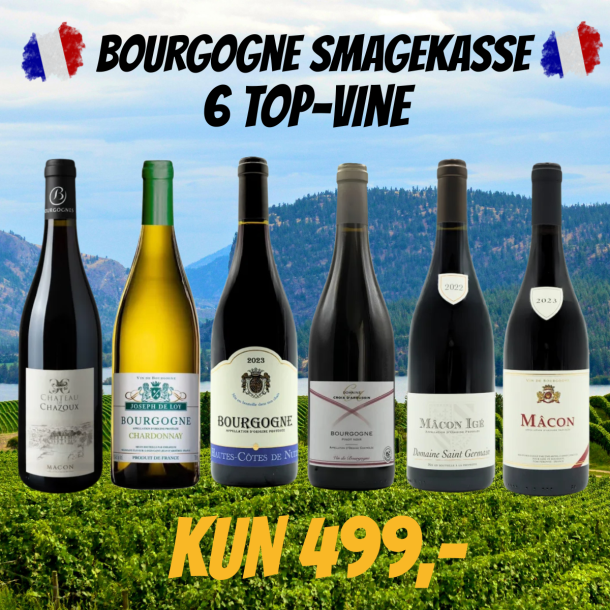 BOURGOGNE SMAGEKASSE - 6 flasker