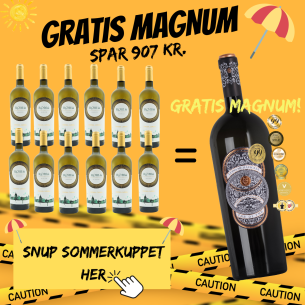 12 FLASKER Fontana Candida ROMA Bianco 2023 75 cl. 13%  + 1 GRATIS MAGNUM på toppen