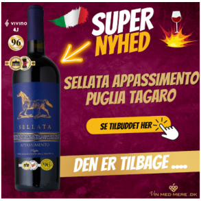 Sellata Appassimento Puglia 2024 14,5%