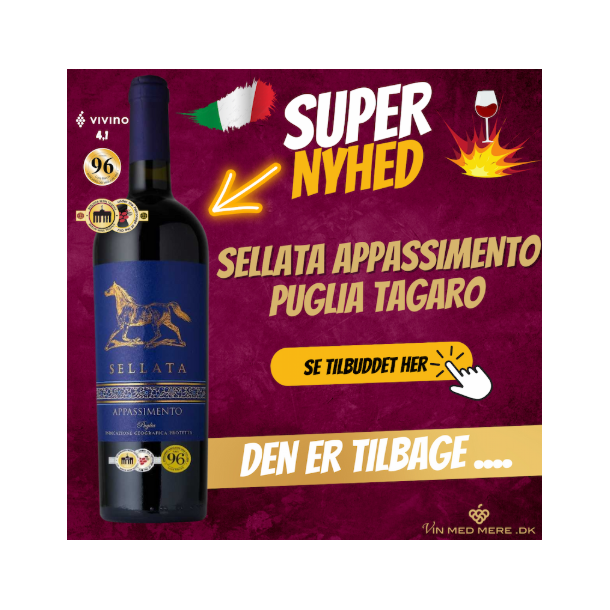 Sellata Appassimento Puglia 2024 14,5%