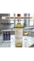 Sellata Puglia Pinot Grigio 2024 75 cl. 12%