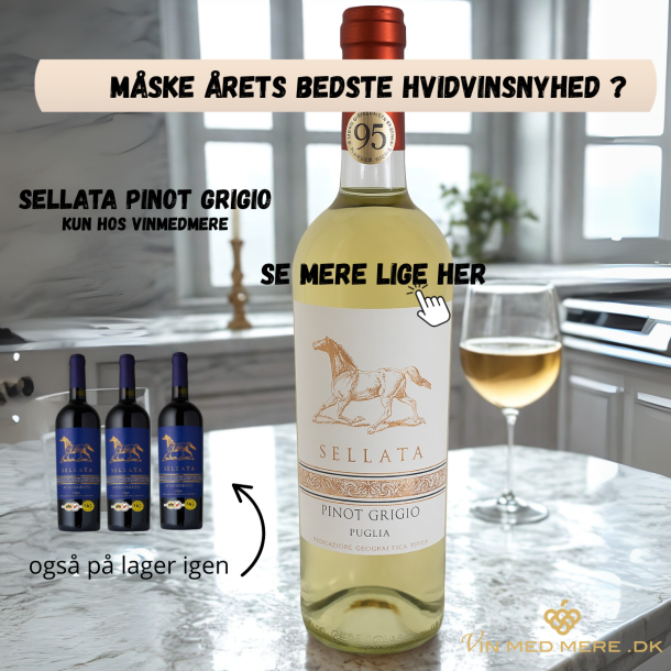 Sellata Puglia Pinot Grigio 2024 75 cl. 12%