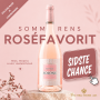 SOLONE Ros� Primitivo 2024 75 cl. 12%