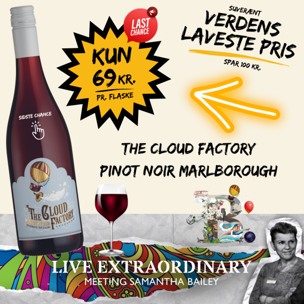 The Cloud Factory Pinot Noir Marlborough - SPAR 59%