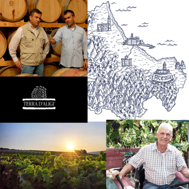 Terra DAligi Terre di Chieti Chardonnay 2023 75 cl. 